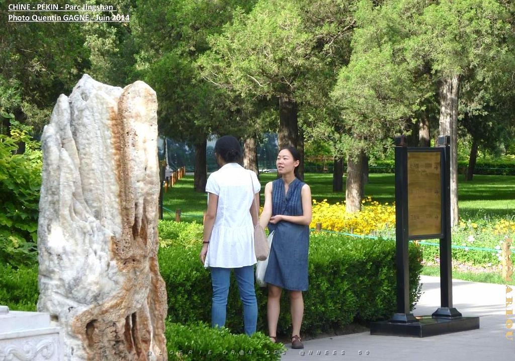 Pekin Jingshan 13.JPG